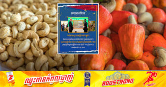 អបអរសាទរ! កសិផលស្វាយចន្ទីរបស់កម្ពុជាទទួលបានចំណាត់ថ្នាក់លំដាប់ទី៣ ក្នុងពិភពលោក ពីអង្គការស្បៀង និង កសិកម្ម របស់អង្គការសហប្រជាជាតិ (FAO)