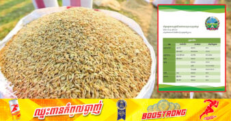 ក្រសួងកសិកម្ម៖ តម្លៃស្រូវសើមនៅតាមរោងម៉ាស៊ីនកិនស្រូវក្នុងខេត្តមួយចំនួនបានឡើងថ្លៃវិញបន្តិចនៅថ្ងៃនេះ ខណៈក្រសួងកំពុងសហការជាមួយរោងម៉ាស៊ីនកិនស្រូវនៅទូទាំងប្រទេស ដើម្បីអន្តរាគមន៍ថ្លៃស្រូវជូនកសិករ