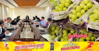 ក្រុមហ៊ុនជប៉ុនមួយ មានបំណងផ្ដល់ពូជទំពាំងបាយជូរជប៉ុន ដែលក្រុមហ៊ុនមានប៉ាតង់គ្រប់គ្រងស្រាប់ឱ្យកម្ពុជា ដើម្បីដាំដុះសាកល្បង និងចែកចាយ