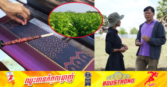 ក្រុមហ៊ុនសិប្បករអង្គរ មានបំណងដាំដើមមនបន្ថែមនៅលើផ្ទៃដី ១៥ហិកតា ដើម្បីចិញ្ចឹមដង្កូវនាង និងពង្រីកផលិតកម្មសូត្រ ផ្គត់ផ្គង់រោងតម្បាញ ខណៈតម្រូវការសូត្រខ្មែរមានកំណើនយ៉ាងគំហុក