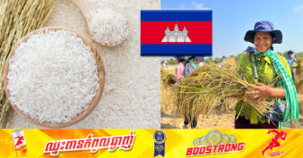 កម្ពុជា ក្លាយជាប្រទេសនាំអង្ករចេញ (ទាំងស្រូវនិងអង្ករ) លេខរៀងទី៧ លើពិភពលោក នៅឆ្នាំ២០២៣/២០២៤