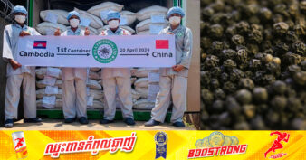 ម្រេចខ្មៅរបស់ខ្មែរចំនួន ៣០តោន ត្រូវបាននាំចេញទៅកាន់ទីក្រុងមួយរបស់ប្រទេសចិន