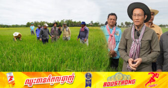 ឯកឧត្តម ងិន ឆាយ៖ «ការខូចខាតដំណាំស្រូវ​ដោយសារសត្វល្អិតចង្រៃមានទំហំតូច និងអាចគ្រប់គ្រងបាន»