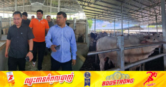 ថ្នាក់ដឹកនាំក្រសួងកសិកម្ម ចុះទៅកសិដ្ឋានគោនៅខេត្តកំពង់ស្ពឺ ដើម្បីជួយរកទីផ្សារសាច់ និងលាមកគោជូនម្ចាស់កសិដ្ឋាន