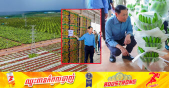 ឯកឧត្តម កែវ រតនៈ៖ «ផ្លែចេករបស់ខេត្តកំពង់ចាម ដែលនាំចេញទៅចិន និងជប៉ុន ទទួលបានការគាំទ្រខ្លាំង »