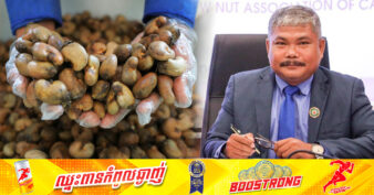 សមាគមស្វាយចន្ទីកម្ពុជា សម្លឹងទៅរកការកែច្នៃក្នុងស្រុកនិង​កាត់បន្ថយ​ការនាំចេញពុំទាន់កែច្នៃ