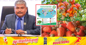 កម្ពុជា ក្លាយជាប្រទេសផលិតគ្រាប់​ស្វាយចន្ទីលំដាប់ទី២ លើពិភព​លោក