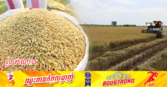 កសិករខេត្តព្រៃវែង ទទួលទិន្នផលស្រូវ ៧.៥ តោន ក្នុង១ហិកតា គិតជាផលចំនេញចន្លោះពី៥លានរៀលទៅ៦លានរៀល