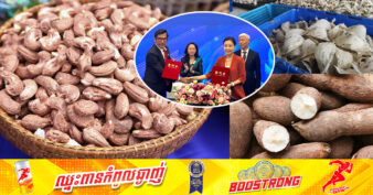 ទីបំផុត គ្រាប់ស្វាយចន្ទី សំបុកត្រចៀកកាំ និងដំឡូងមីរបស់កម្ពុជា អាចនាំចេញដោយផ្ទាល់ទៅប្រទេសចិន