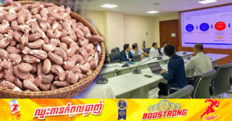 ក្រុមហ៊ុន MIRARTH បង្កើនការកែច្នៃគ្រាប់ស្វាយចន្ទី និងសិក្សាលទ្ធភាពចម្រាញ់ប្រេងស្វាយចន្ទី