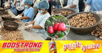 រយៈពេលជិត ១២ខែឆ្នាំ២០២៤ កម្ពុជាផលិតគ្រាប់ស្វាយចន្ទីបានជាង ៨៥ម៉ឺនតោន និងរកចំណូលបានសរុប ១១៥០លានដុល្លារ