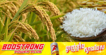 កសិករស្រុកបារាយណ៍ ជ្រើសរើសផលិតស្រូវសែនក្រអូបលើផ្ទៃដីដាំដុះជាង ២០០០ហិកតា ក្នុងតម្លៃកិច្ចសន្យាពិសេសជាង ១ពាន់រៀលក្នុងមួយគីឡូក្រាម