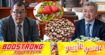 ក្រុមហ៊ុនជប៉ុនធំមួយ ចាប់អារម្មណ៍វិនិយោគលើដំណាំស្វាយចន្ទីដើម្បីនាំចេញ ពិសេសផ្ដោតលើការកែច្នៃផ្លែ និងសំបកគ្រាប់ទៅជាទឹកខ្មេះ និង ប្រេង ខណៈកាកសំណល់ធ្វើជាចំណីសត្វ