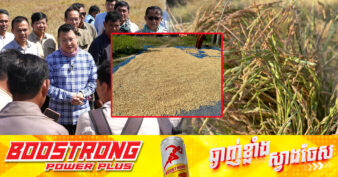 ឯកឧត្តម ឌិត ទីណា៖ ស្រូវដែលធ្លាក់ថ្លៃជាប្រភេទស្រូវ OM មិនមែនស្រូវចុះថោកគ្រប់ប្រភេទទេ