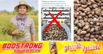 អ្នកនាំពាក្យក្រសួងកសិកម្ម៖ បច្ចុប្បន្នគ្រាប់ស្វាយចន្ទីសើម មានតម្លៃល្អជាងឆ្នាំកន្លងទៅ