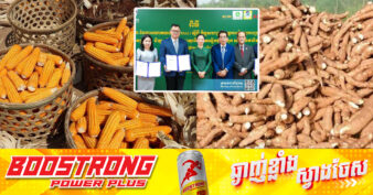 ក្រុមហ៊ុនចំនួន ៦ ចុះហត្ថលេខាទិញកសិផលខ្មែរជាង ៣០ម៉ឺនតោន ដើម្បីធ្វើចំណីសត្វ