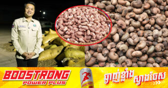 អ្នកនាំពាក្យក្រសួងកសិកម្ម៖ កម្ពុជាមិនមានបញ្ហាក្នុងការផ្គត់ផ្គង់គ្រាប់ស្វាយចន្ទីនោះឡើយ