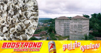 ទីផ្សារនាំចេញសំបុកត្រចៀកកាំ ផ្តល់ក្តីរំពឹងខ្ពស់សម្រាប់អ្នកចិញ្ចឹម