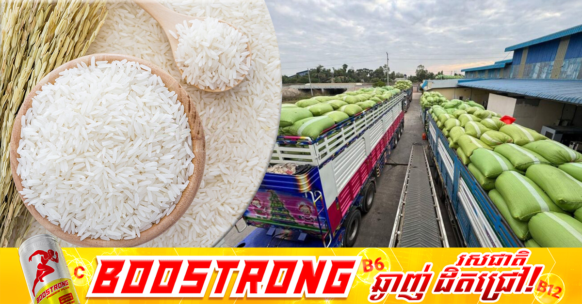 នៅឆ្នាំ ២០២៥ កម្ពុជាទាញ​ចំណូល​បានជាង ​៥ ​ពាន់លានដុល្លារ ​ពីការនាំចេញស្រូវ-អង្ករ​ ​