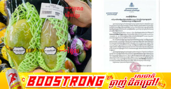 ស្ថានឯកអគ្គរាជទូតកម្ពុជាប្រចាំសាធារណរដ្ឋកូរ៉េបញ្ជាក់ថា ផ្លែស្វាយ ដែលមានម៉ាកយីហោ «Romdoul» (រំដួល) កំពុងត្រូវបានដាក់លក់នៅលើទីផ្សារកូរ៉េ គឺពិតជាមានប្រភពដើមមកពីកម្ពុជា ១០០%
